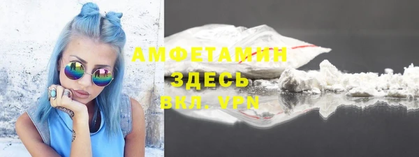 индика Белокуриха